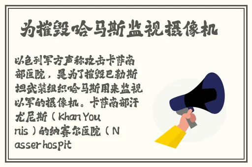 中国大肥胖VPSWINDOWS